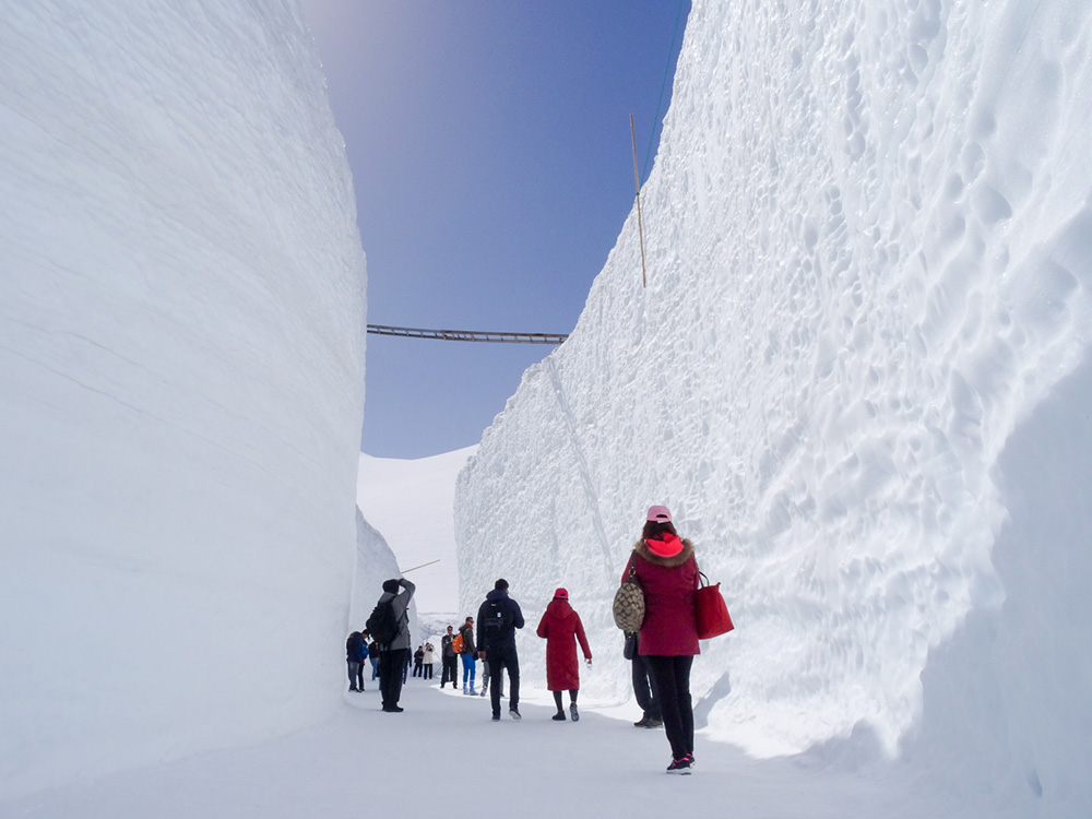 室堂平　雪の回廊