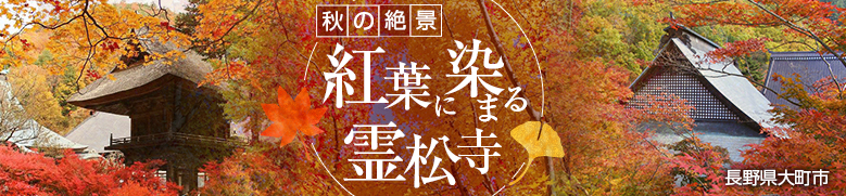 紅葉バナー