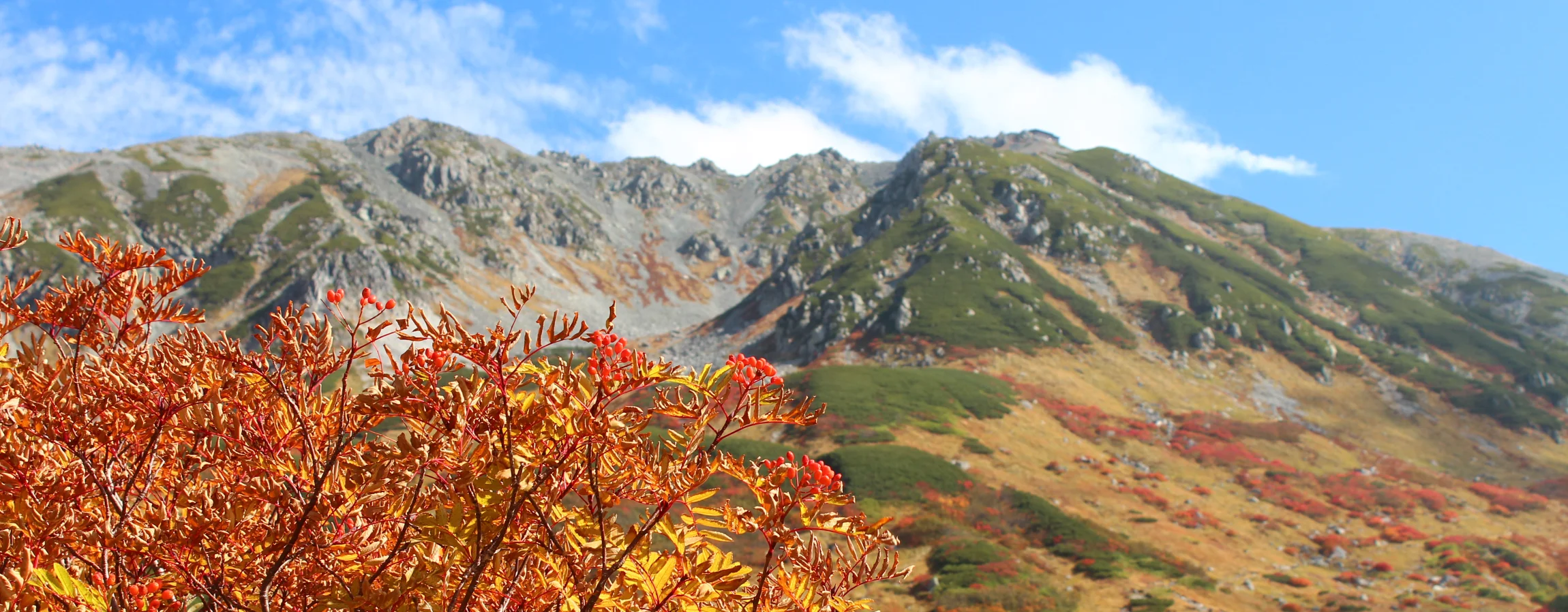 室堂の紅葉